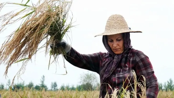 women-agriculture-2